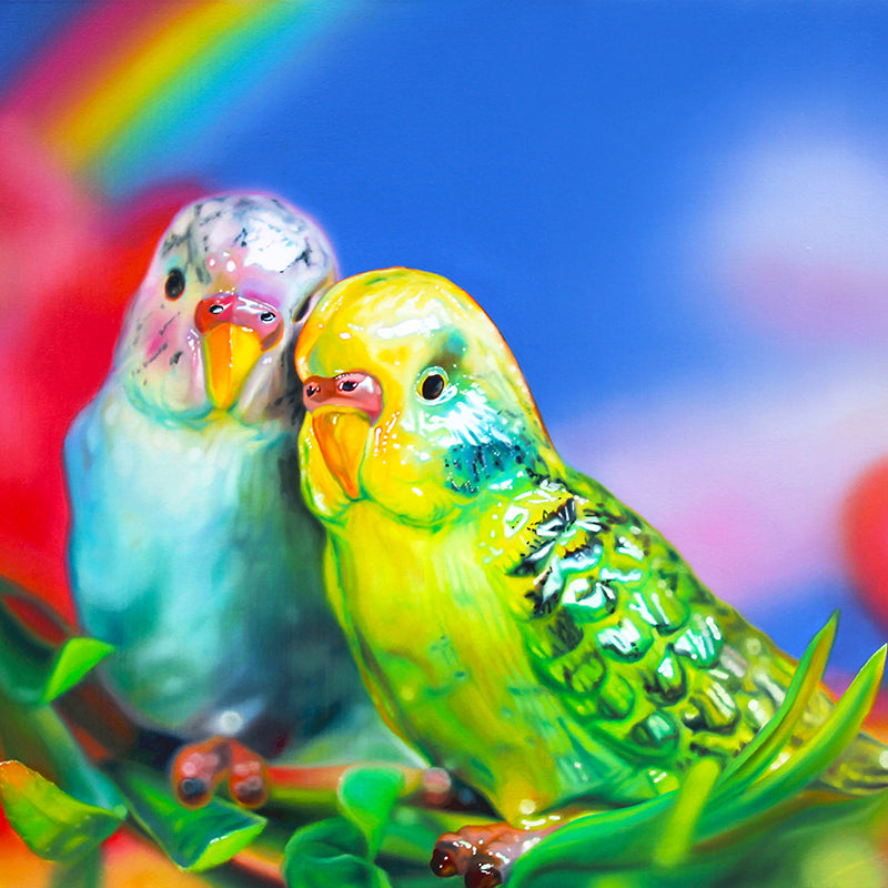 Budgie Love - Cushion